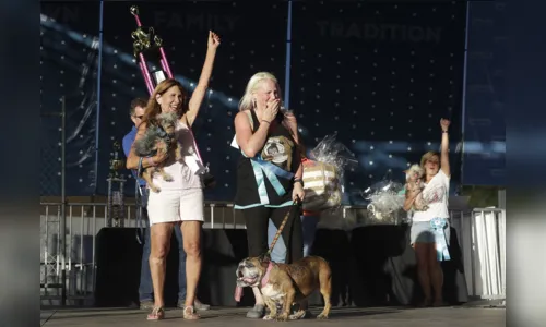 
							Bulldog inglês de língua pendurada é eleito o cão mais feio do mundo em concurso  
						
						
