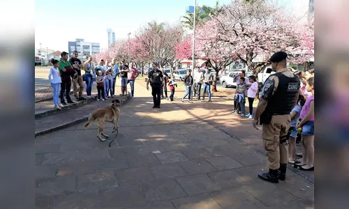 COMAD realiza ações alusivas à Semana de Prevenção e Enfrentamento ao uso de drogas
