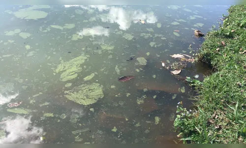 Possível descarte irregular de esgoto no Lago Jaboti mobiliza Polícia Ambiental