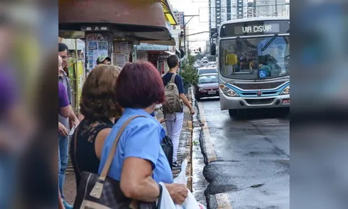 Empresas tentam impugnar parte do edital do transporte coletivo urbano em Apucarana