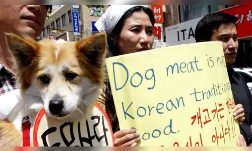 Tribunal proíbe matar cachorros para consumo de carne na Coreia do Sul