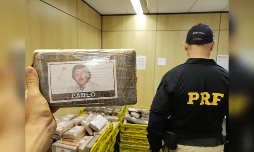 Apreensões feitas pela PRF no Paraná no 1º semestre totalizam 26,6 toneladas de drogas