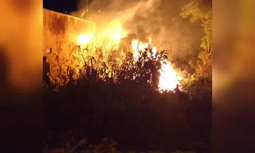 Incêndios florestais aumentam 500% na região de Ivaiporã