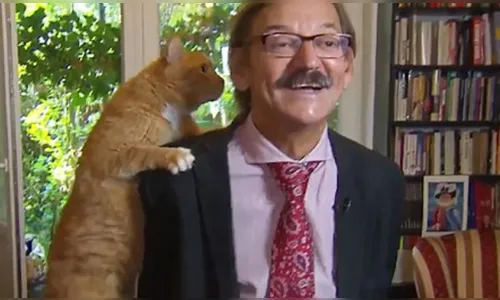 Vídeo mostra gato interrompendo professor durante entrevista ao vivo na TV