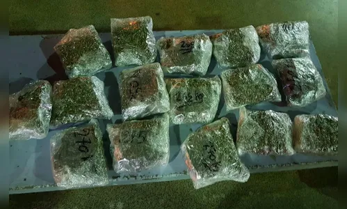 Jovem apucaranense é presa em Arapongas com 4 quilos “skank”