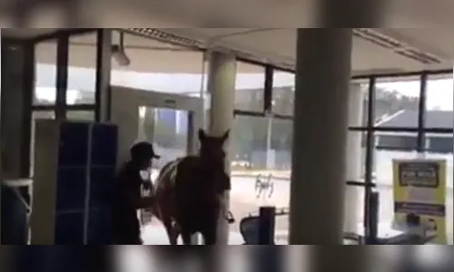 Homem entra com cavalo em agência do Banco do Brasil no Paraná; veja vídeo