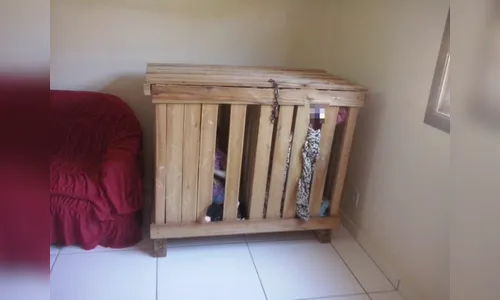 Irmãos de 3 anos são encontrados trancados dentro de caixote