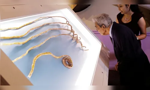 
							Após 66 anos, homem decide cortar as unhas mais compridas do mundo; veja vídeo e fotos
						
						