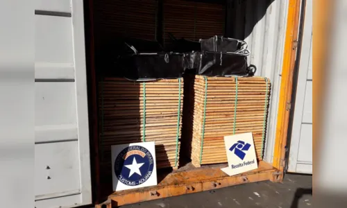 
						
							Cão farejador ajuda em apreensão de 350 quilos de cocaína no Porto de Paranaguá
						
						