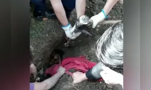 Bombeiros resgatam cachorro que ficou 5 dias preso em tubulação; veja vídeo