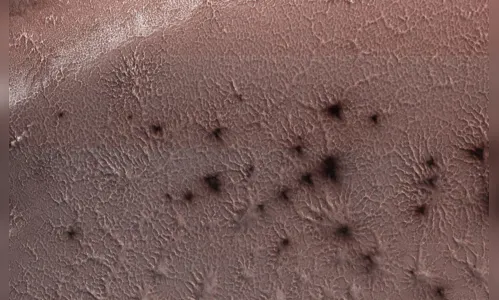 
							NASA divulga foto de 'aranhas marcianas'
						
						