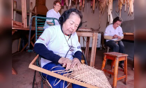 
							Estilista de Santa Catarina utiliza peças de artesãs apucaranenses em desfile 
						
						