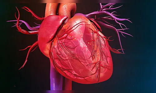 SBC alerta: 170 mil pessoas já morreram de doenças cardiovasculares no Brasil em 2018