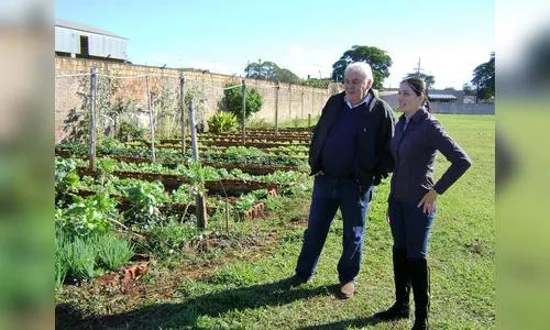 Hortas orgânicas começam a ganhar espaço em Centros de Educação Infantil