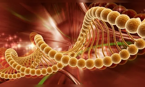 Teste genético é a chave para o tratamento individualizado do câncer