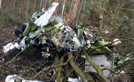 Aeronave de Bernardo Carli se chocou contra árvores antes de cair (Reprodução/Canal 4 TV WEB)