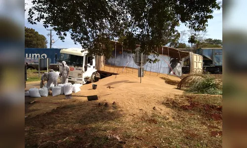 Trem atinge carreta carregada de trigo em Arapongas