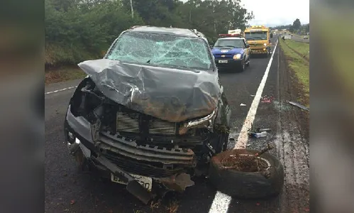 Homem fica ferido após capotar veículo na BR-369