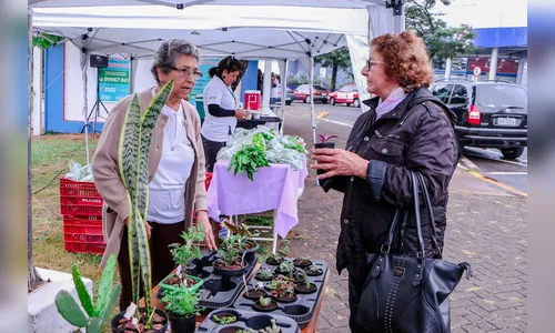 “Economia Solidária” realiza feira livre em Apucarana