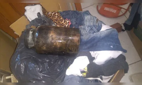 
							Polícia encontra cães dentro de potes de vidro em casa abandonada  
						
						