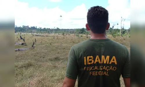 Concurso público do IBAMA 2018: Edital em análise com 1.888 vagas 