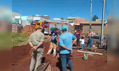 Bombeiros resgatam cão que caiu em buraco de três metros; veja o vídeo