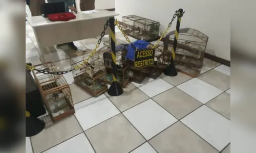 
							Suspeito de chefiar o tráfico de drogas é preso com armas e munições em Cambira
						
						