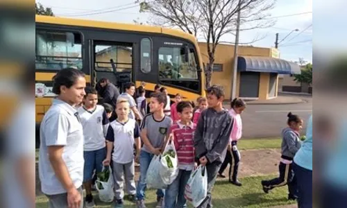 Verduras orgânicas são distribuídas no CCI Antonieta Zampaollo