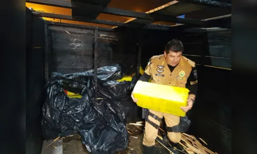 
							Caminhoneiro é preso com duas toneladas de maconha  
						
						