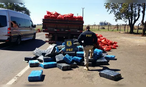 PRF acha 2,1 toneladas de maconha sob carga de cebola no Paraná