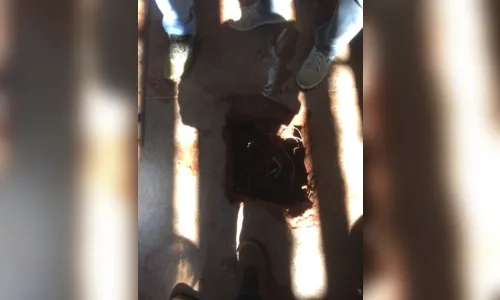 
							Polícia encontra túnel e impede fuga de presos em Ivaiporã
						
						