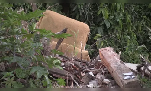 
							Oito pessoas ficam feridas após ataque de abelhas em escola de Sarandi
						
						