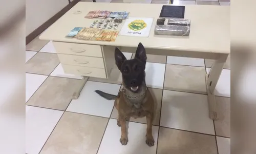 Irmãos de 13 e 14 anos são apreendidos com quase um quilo de maconha