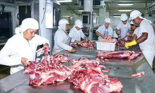 Após acordo com IAP, frigorífico retoma abates