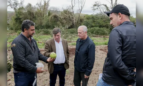 Prefeito de Umuarama conhece o Programa Terra Forte