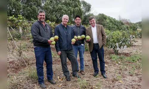 Prefeito de Umuarama conhece o Programa Terra Forte