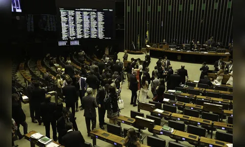 Câmara aprova MP que permite renegociação de dívidas rurais