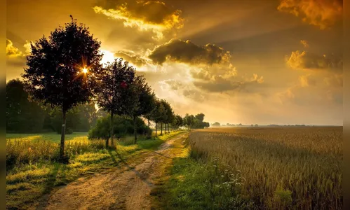 Sol deve predominar nesta segunda-feira em Apucarana e região