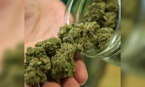 ‘Associação de maconheiros’ tinha cápsula especial para fumar maconha e até bingo da droga
