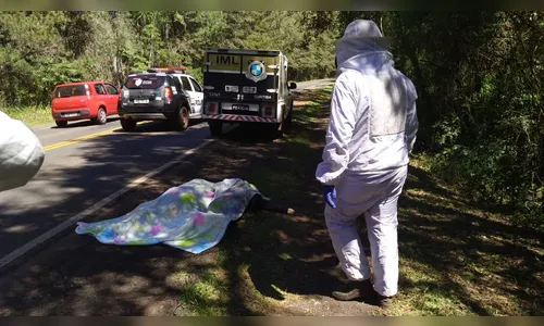 Irmãos morrem a caminho de velório entre Faxinal e Mauá da Serra