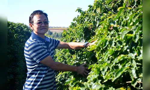 Café da região de Apucarana aposta na tecnologia para avançar no mercado internacional