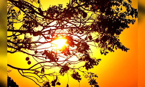 Primeiro dia da Primavera vai ser de sol e calor em Apucarana e região