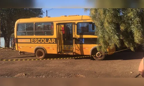 Criança de quase 2 anos morre atropelada por ônibus da Apae em Jardim Alegre