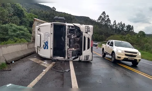 Caminhão carregado com frangos tomba na BR-376