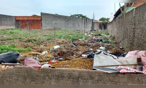 Descarte irregular de lixo ainda é problema em Apucarana