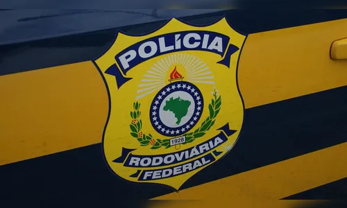 PRF apreende mais de 1,2 toneladas de cocaína