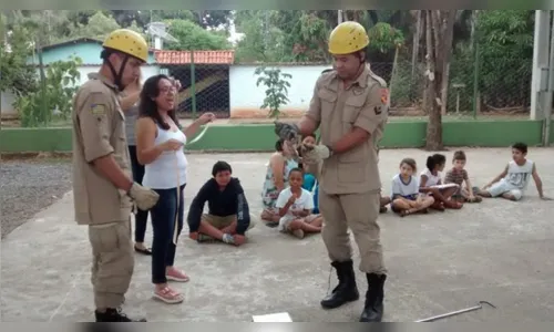 
							Alunos e professores ficam surpresos com a presença de cobra em horta de escola
						
						