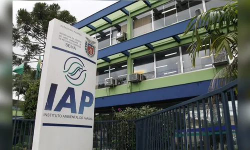 IAP lança edital para contratar 160 servidores