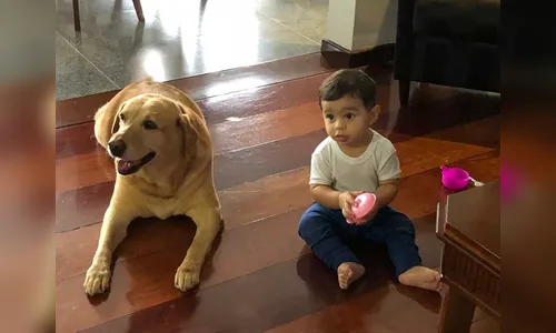 Família oferece recompensa a quem localizar cão desaparecido