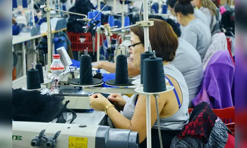 Empresas, Empresários e a Cooperação